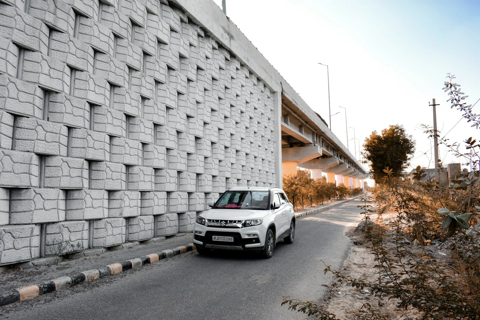 White SUV on a tree-lined road beside stone architecture in Rajasthan